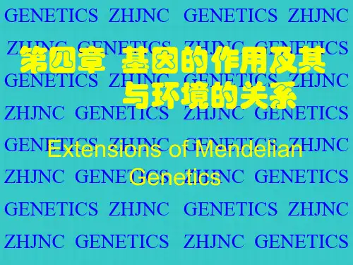 基因的作用及其与环境的关系