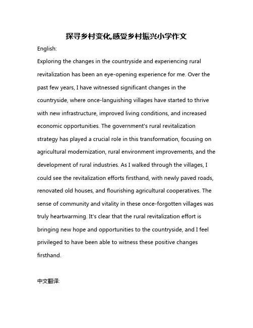 探寻乡村变化,感受乡村振兴小学作文