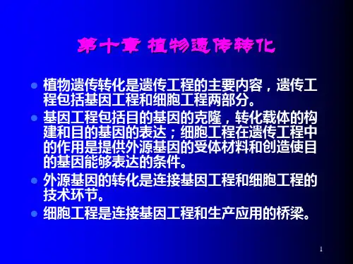 第10章 植物遗传转化