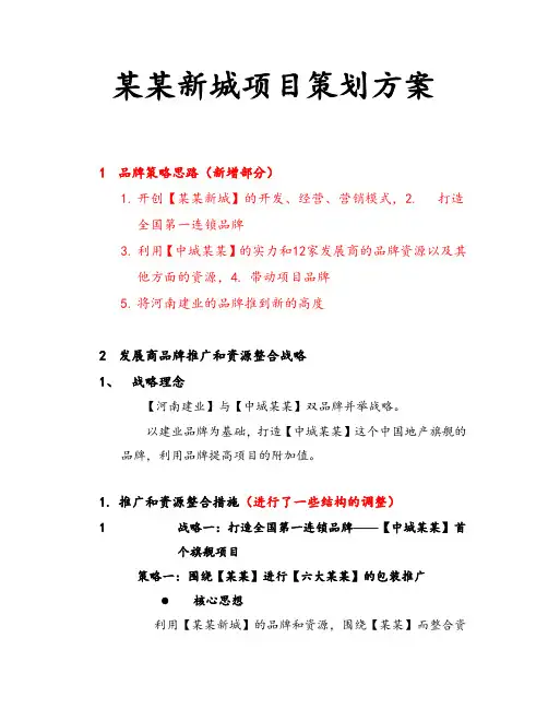 某某新城项目策划方案