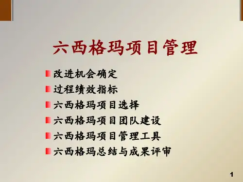 六西格玛项目管理