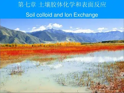 7  土壤胶体化学和表面反应