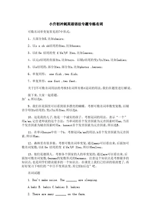 小升初冲刺英语语法专题专练名词