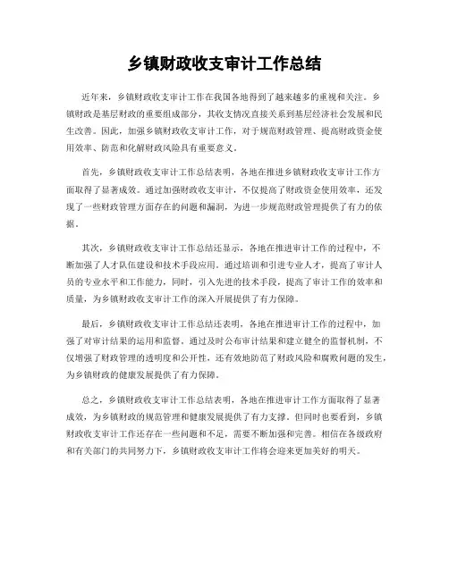 乡镇财政收支审计工作总结