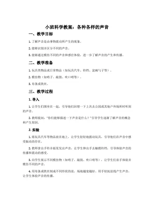 小班科学教案：各种各样的声音