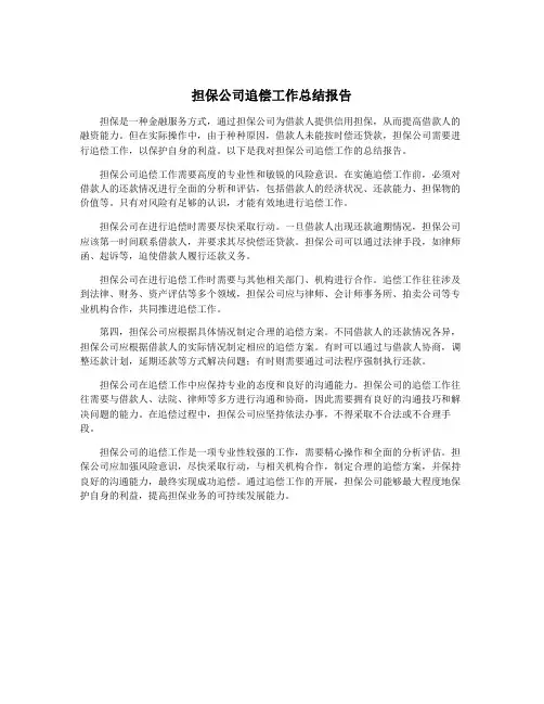 担保公司追偿工作总结报告