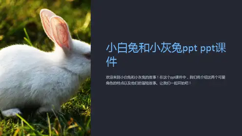 小白兔和小灰兔 课件