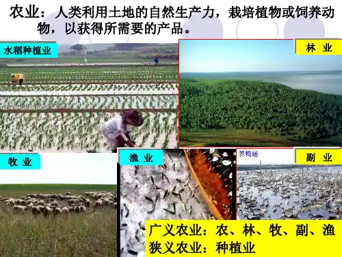 农业区位因素及其变化ppt课件