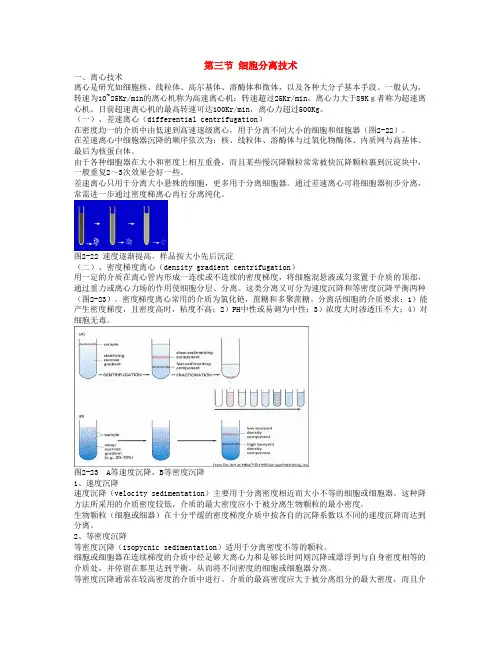 第三节 细胞分离技术