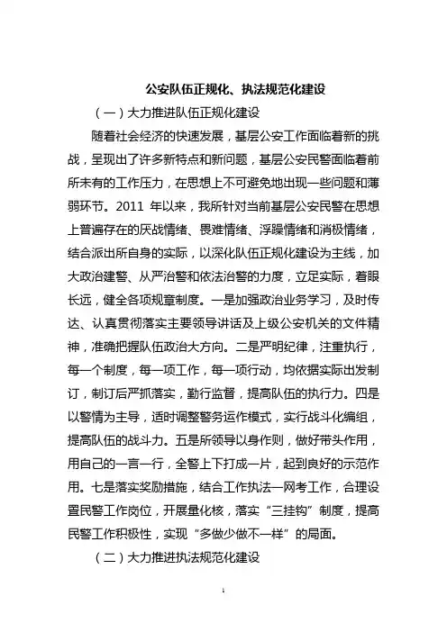 公安队伍正规化、执法规范化建设