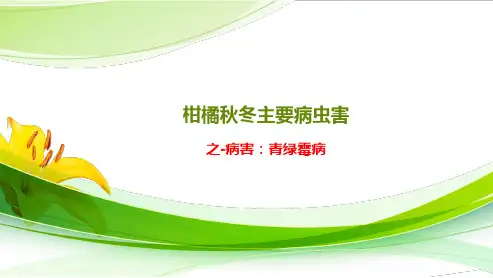柑橘秋冬主要病虫害之病害青绿霉病