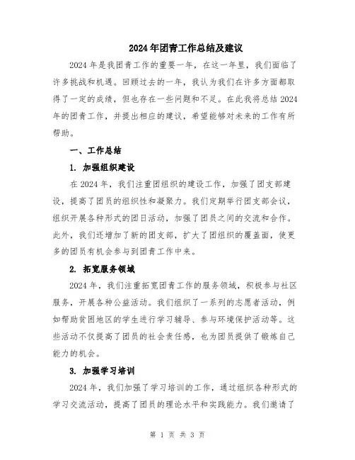 2024年团青工作总结及建议