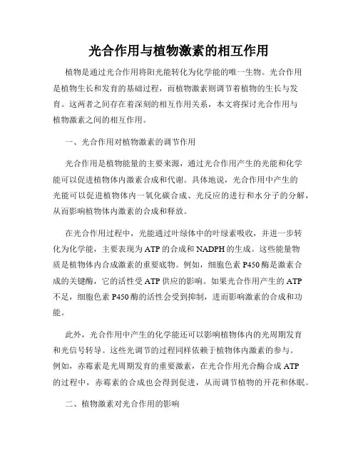光合作用与植物激素的相互作用