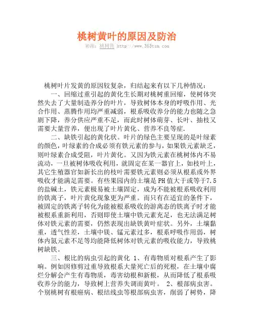 桃树黄叶的原因及防治