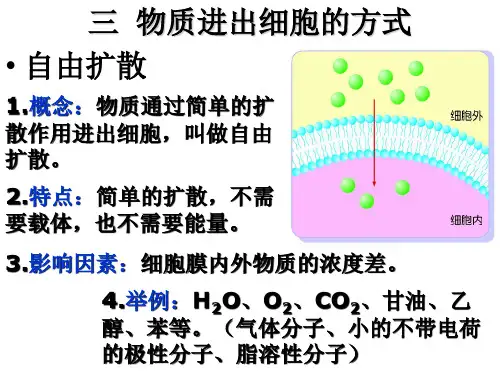 物质进出细胞的方式