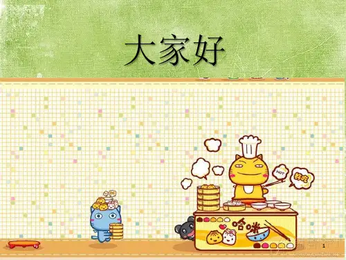 仿制药研发流程 PPT