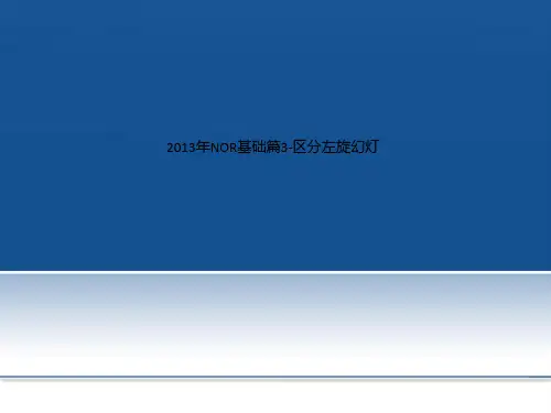 2013年NOR基础篇3-区分左旋幻灯