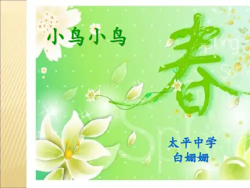 音乐《小鸟小鸟》PPT课件