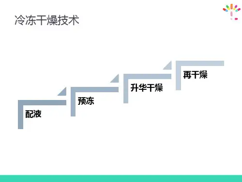 无菌液体制剂—粉针剂(药物制剂技术)