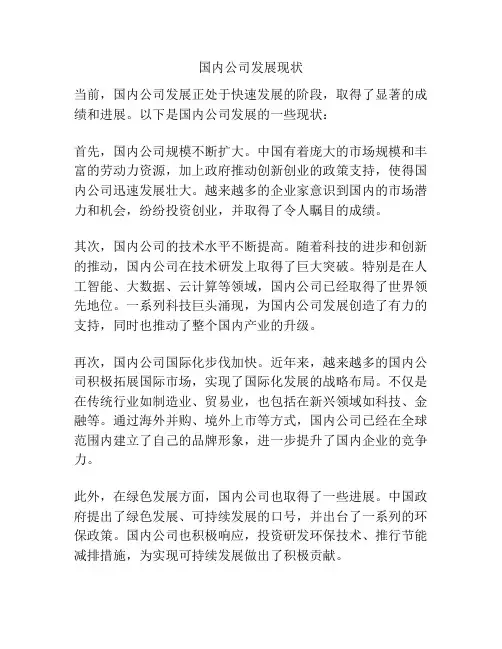 国内公司发展现状