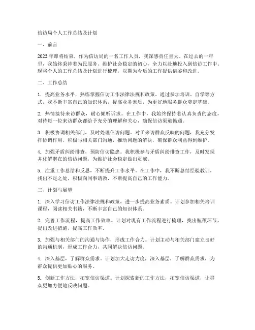信访局个人工作总结及计划