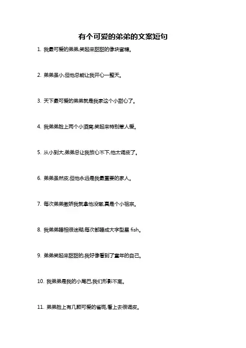 有个可爱的弟弟的文案短句