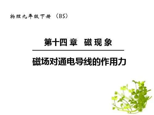 北师大九年级物理下册 (磁场对通电导线的作用力)磁现象课件教学