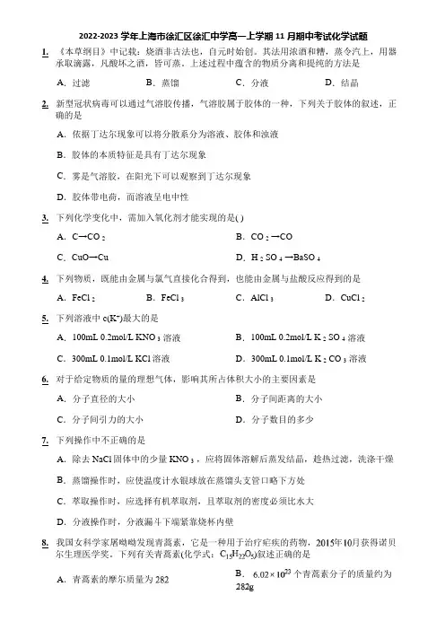 2022-2023学年上海市徐汇区徐汇中学高一上学期11月期中考试化学试题