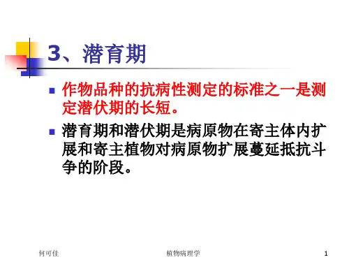 7第四章潜育期与流行2