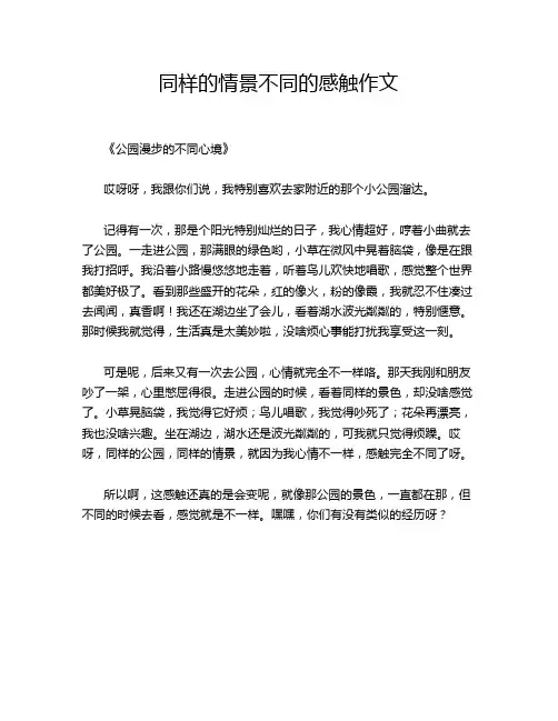 同样的情景不同的感触作文