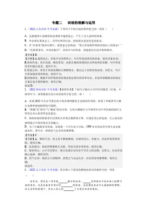 专题二  词语的理解与运用
