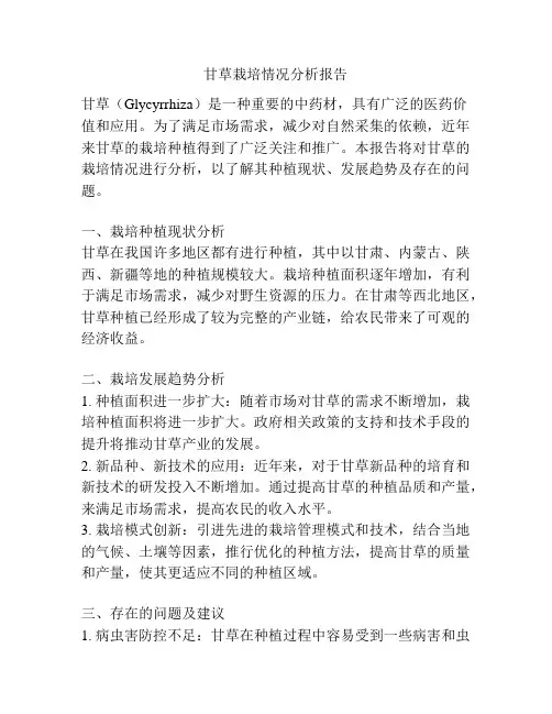甘草栽培情况分析报告