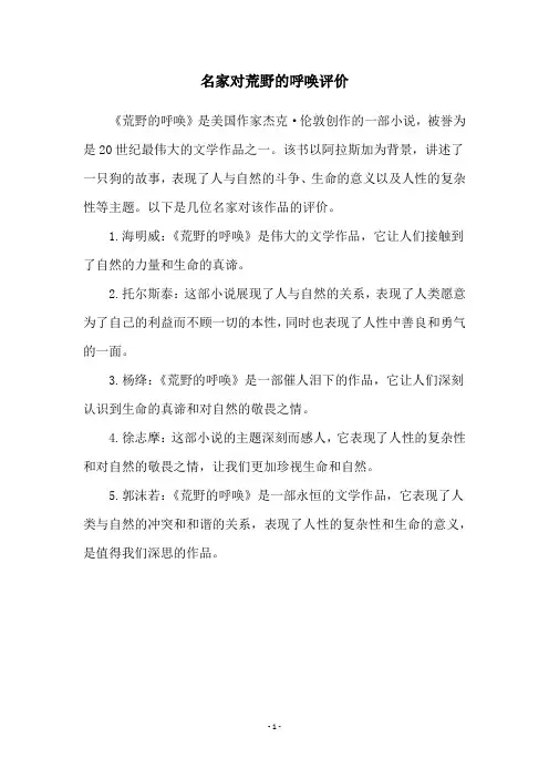 名家对荒野的呼唤评价