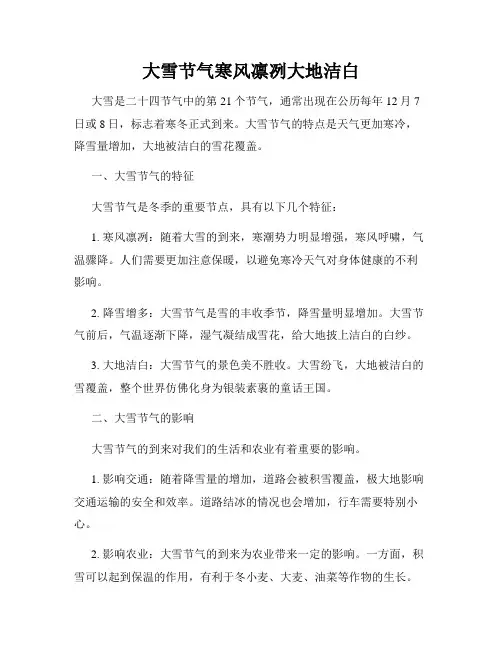 大雪节气寒风凛冽大地洁白