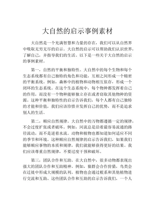 大自然的启示事例素材