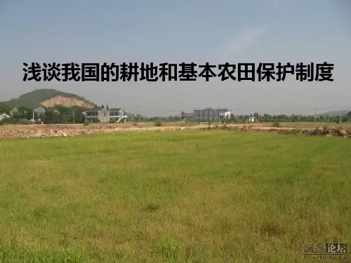 浅谈我国的耕地和基本农田保护制