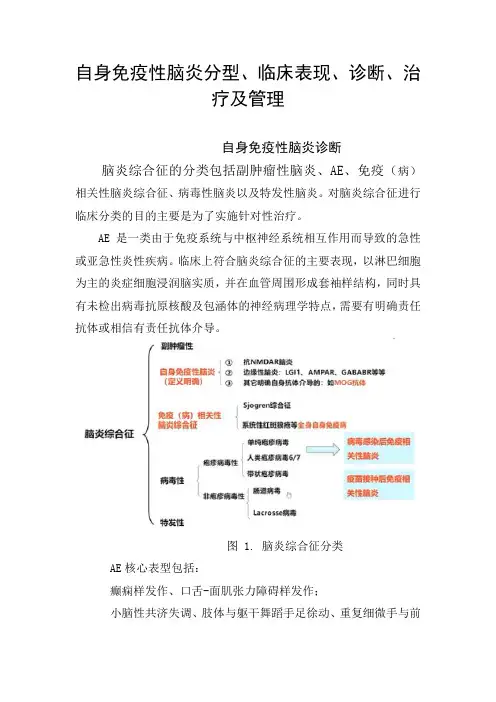 自身免疫性脑炎分型、临床表现、诊断、治疗及管理