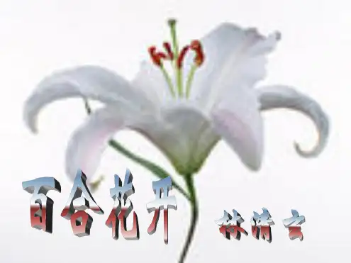 七年级语文百合花开