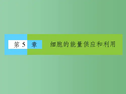 高中生物 5.1《降低化学反应活化能的酶》课件 新人教版必修1