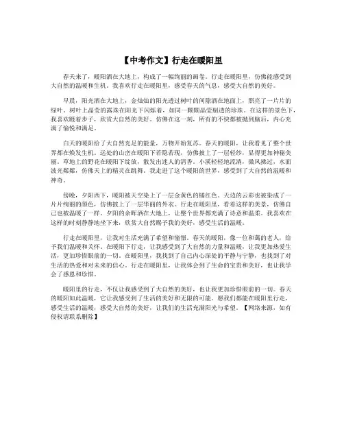 【中考作文】行走在暖阳里