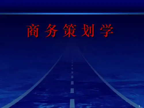 商务策划学 (全)