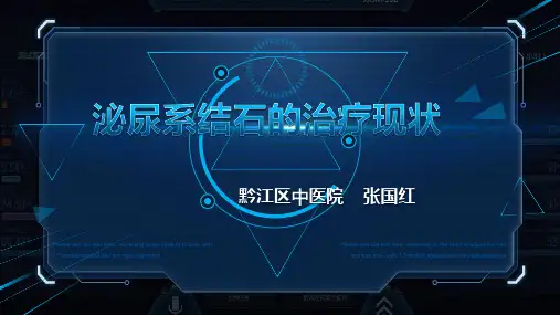 泌尿系结石的治疗PPT课件