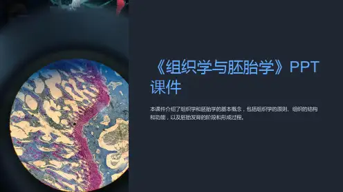 《组织学与胚胎学》课件