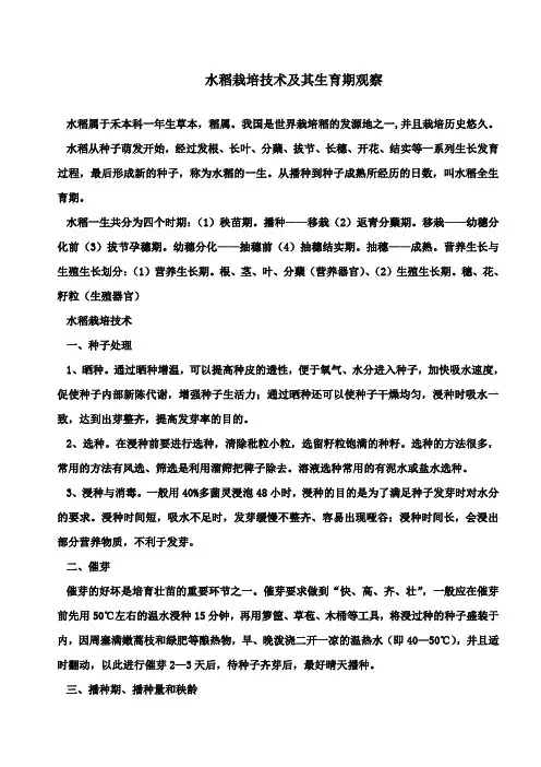 水稻栽培技术及其生育期观察