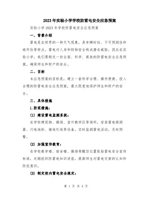 2023年实验小学学校防雷电安全应急预案
