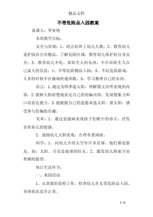不带危险品入园教案