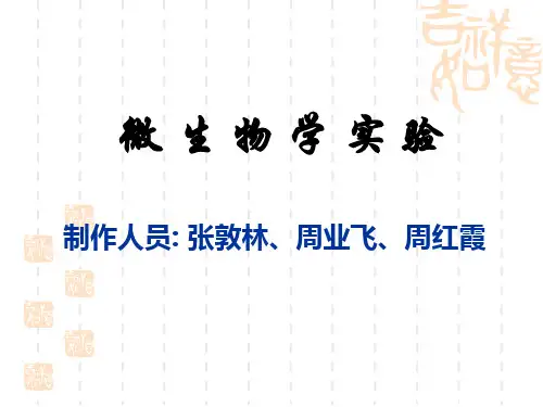 一 土壤微生物的分离与鉴定.