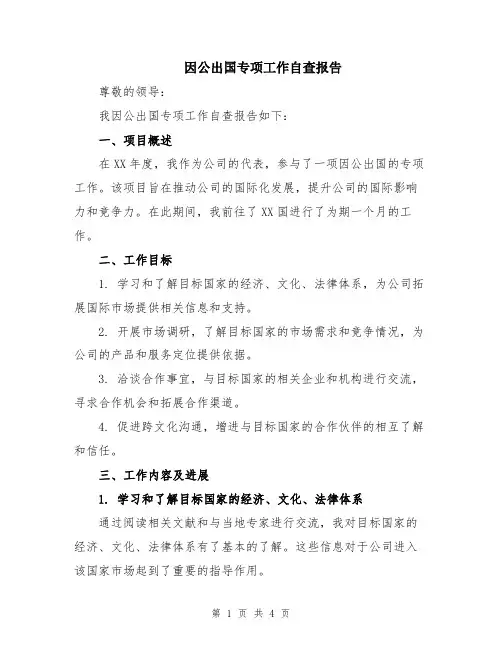 因公出国专项工作自查报告