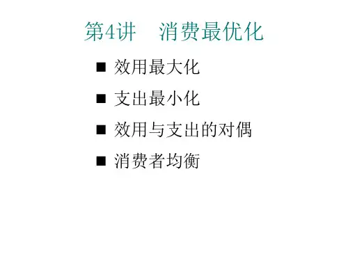 高级微观经济学消费最优化