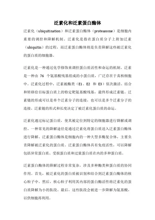 泛素化和泛素蛋白酶体